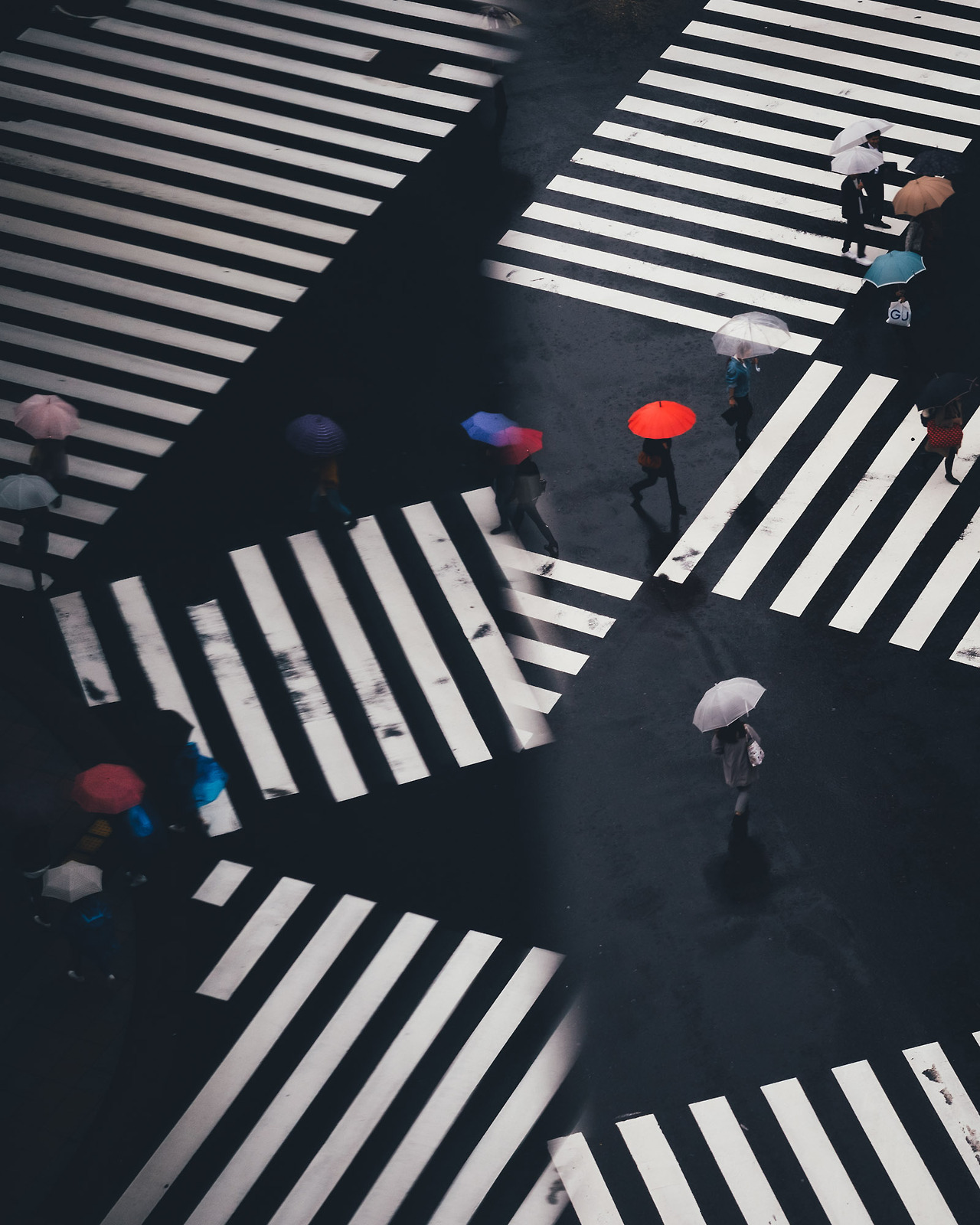 SHIBUYA
